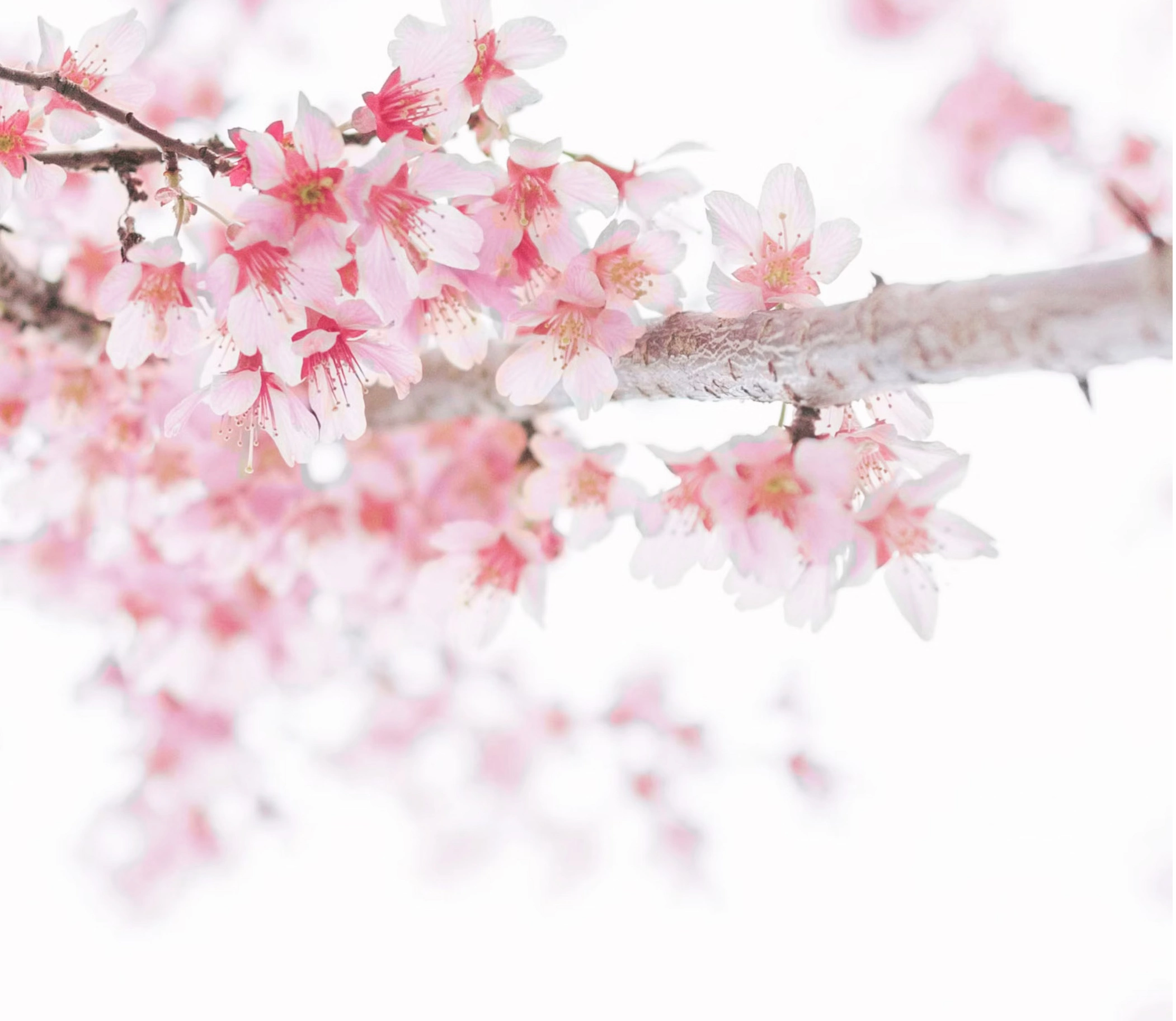 왕인박사유적지 주차장