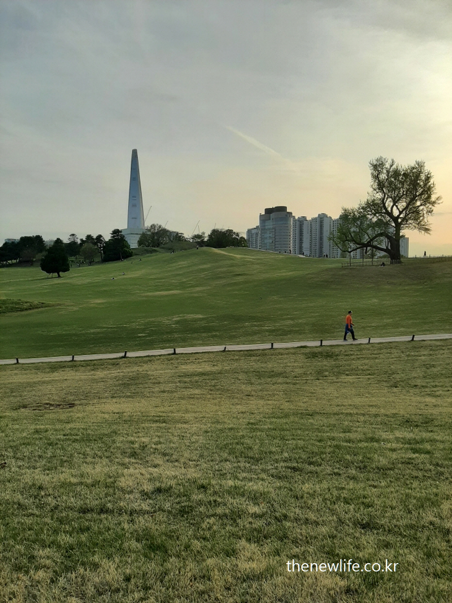 A wide grass hill at Olympic Park with Lotte Tower in the background- 롯데타워가 보이는 올림픽공원의 맨발걷기에 적합한 넓은 잔디 언덕 풍경