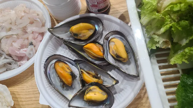 홍합과 다른 섭