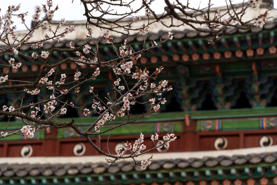 Changgyeonggung