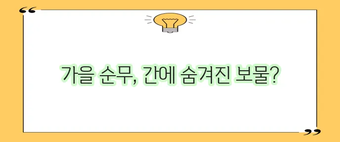 간 건강에 좋은 가을 순무 효능