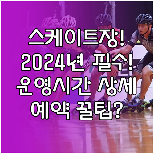 서울광장 스케이트장 2024 시즌 운..