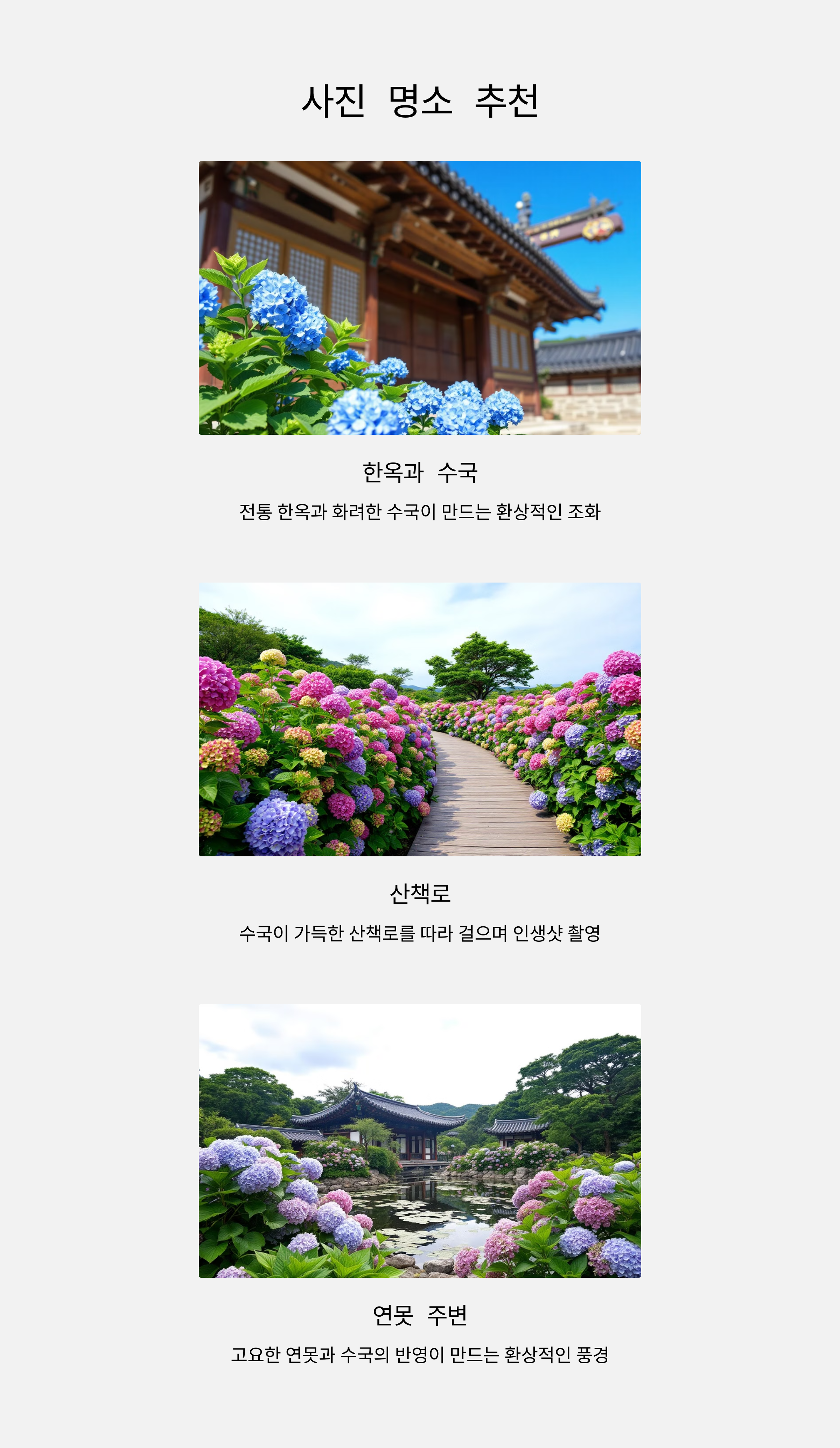 혼인지 사진 스팟 혼인지 수국 사진 포토존