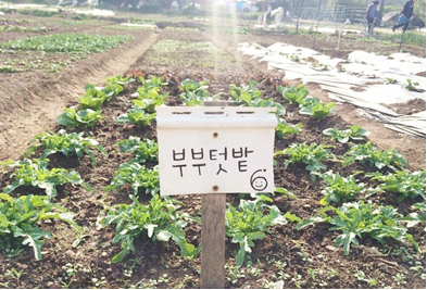 주말농장 시작/ 밭갈이 거름주기, 주말농장 준비물, 주말농장 분양