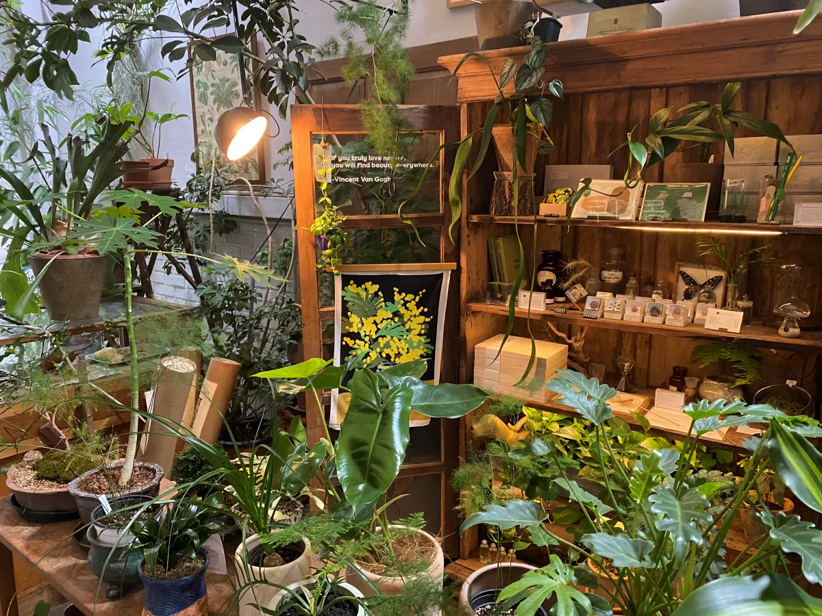 성수-놀거리-추천-식물-구경하기-좋은-가드닝샵-슬로우파마씨