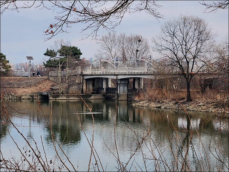 수원 반려견 산책 어디가 좋을까? 겨울에도 걷기 좋은 명소 추천