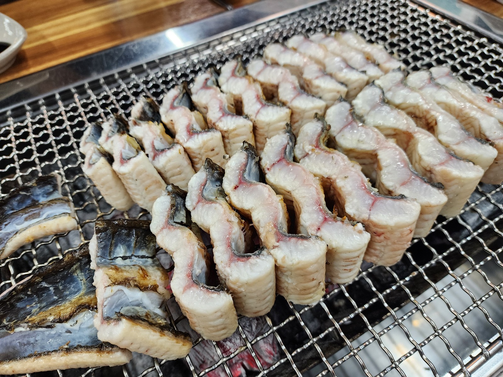 일렬의 장어