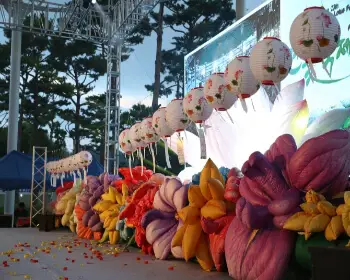 무안 연꽃축제_24