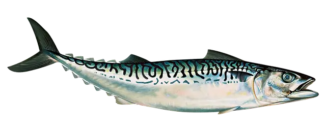 9월 제철 해산물로 즐기는 건강한 식탁