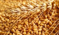 카무트 효소 효능