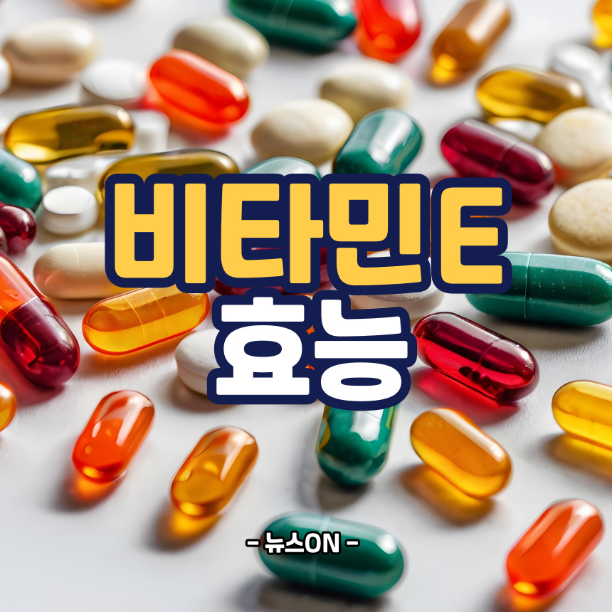 비타민E의 효능