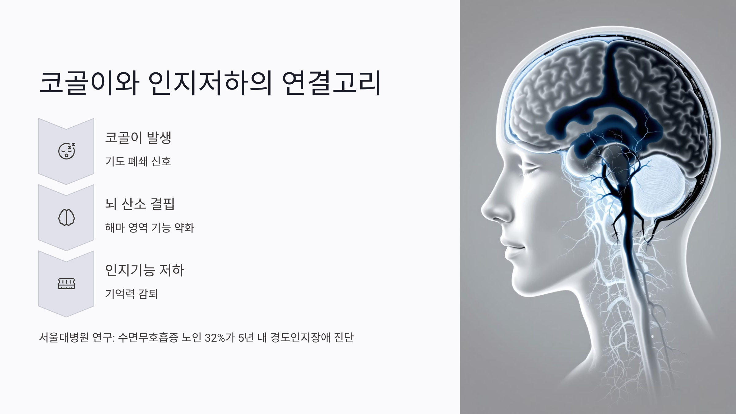 코골이와 수면무호흡증, 인지저하의 연결고리