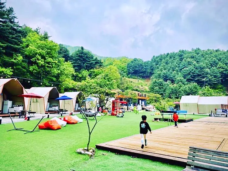 직접 만든 참나무 숯과 불판, 화로, 천장이 열리는 텐트 연 매출 23억 용감한 형제 갑부 카라반 글램핑 오토캠핑 포천 추천 캠핑장 서민갑부 388회 방송 정보