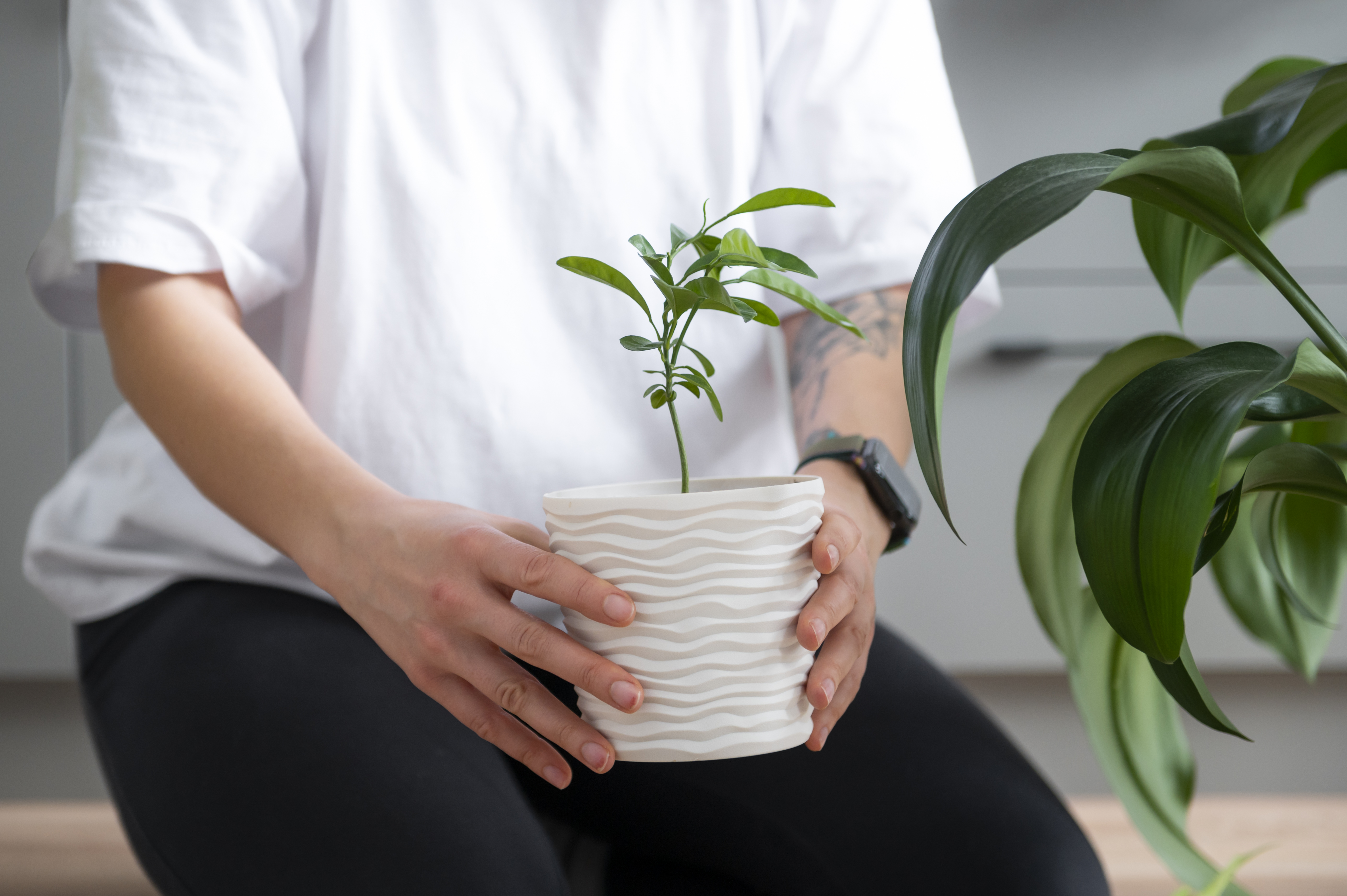 반려식물을 돌보는 모습