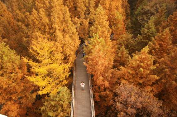 출처 : 장태산 휴양림 홈페이지