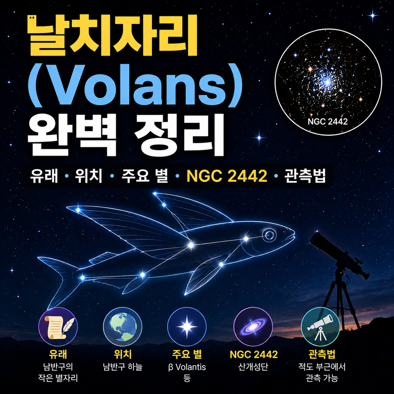 날치자리
