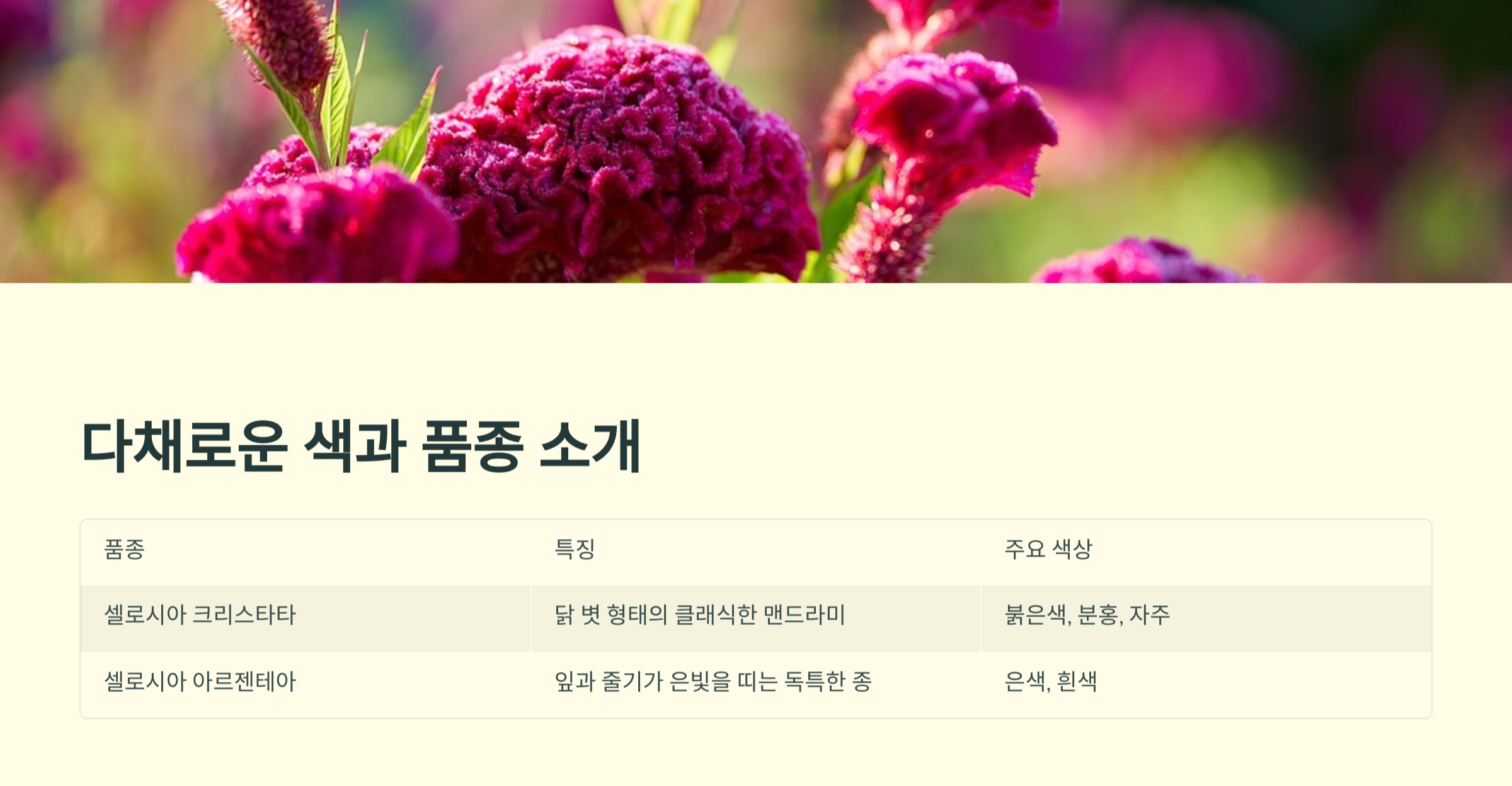 맨드라미