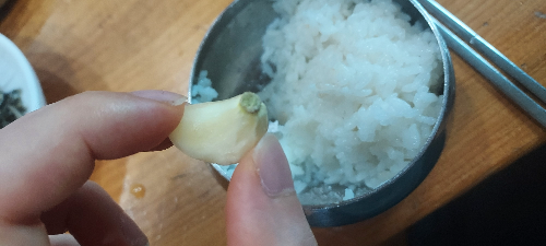 마늘 꼭지 먹으면 큰일 난다?