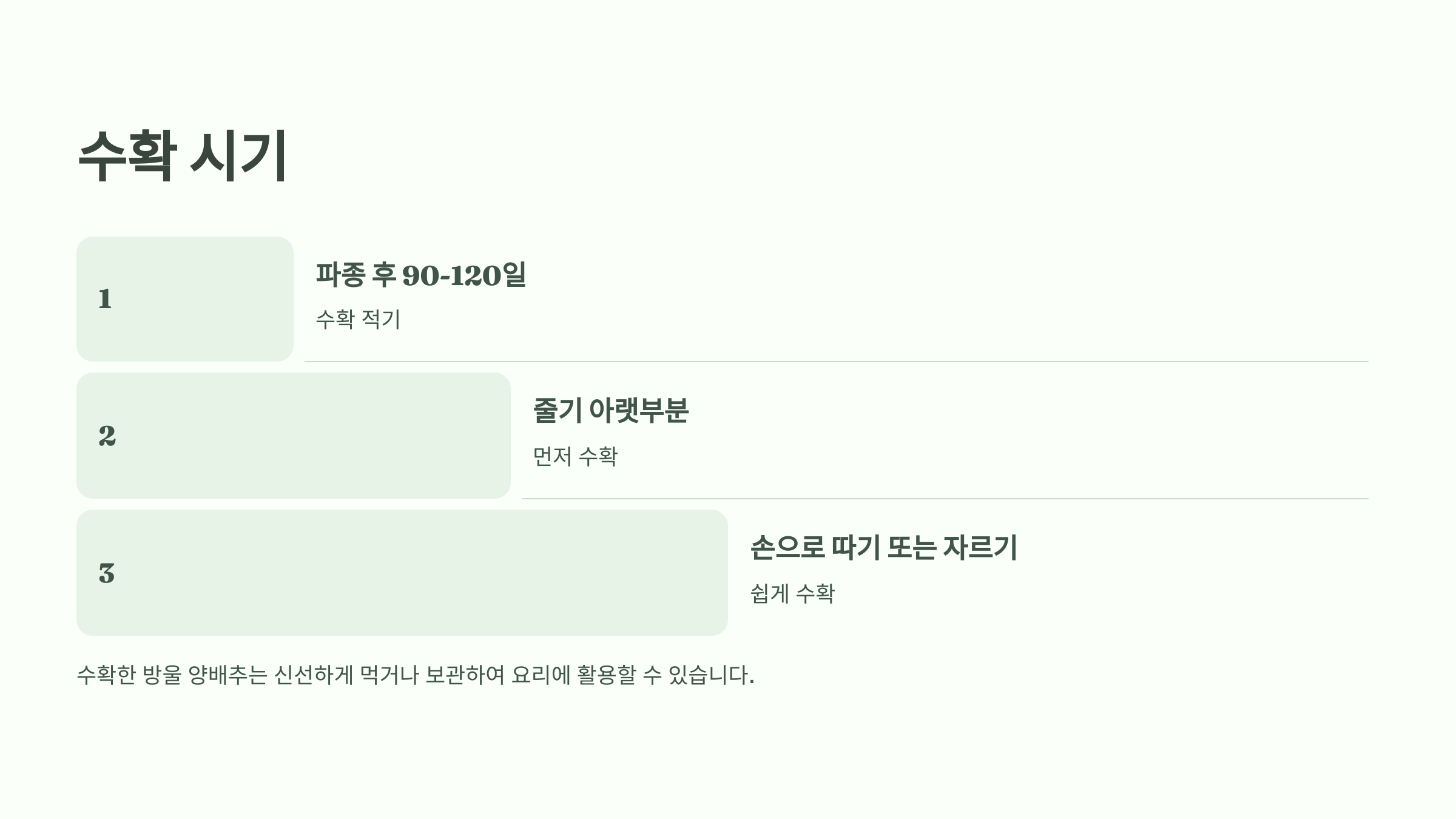 방울양배추 사진입니다.