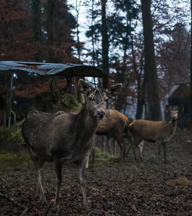 탄소중립 실천포인트: 신청방법&amp;#44; 혜택&amp;#44; 참여방법