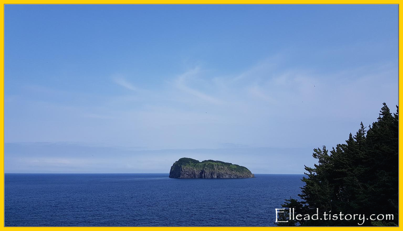 푸른 바다위 죽도