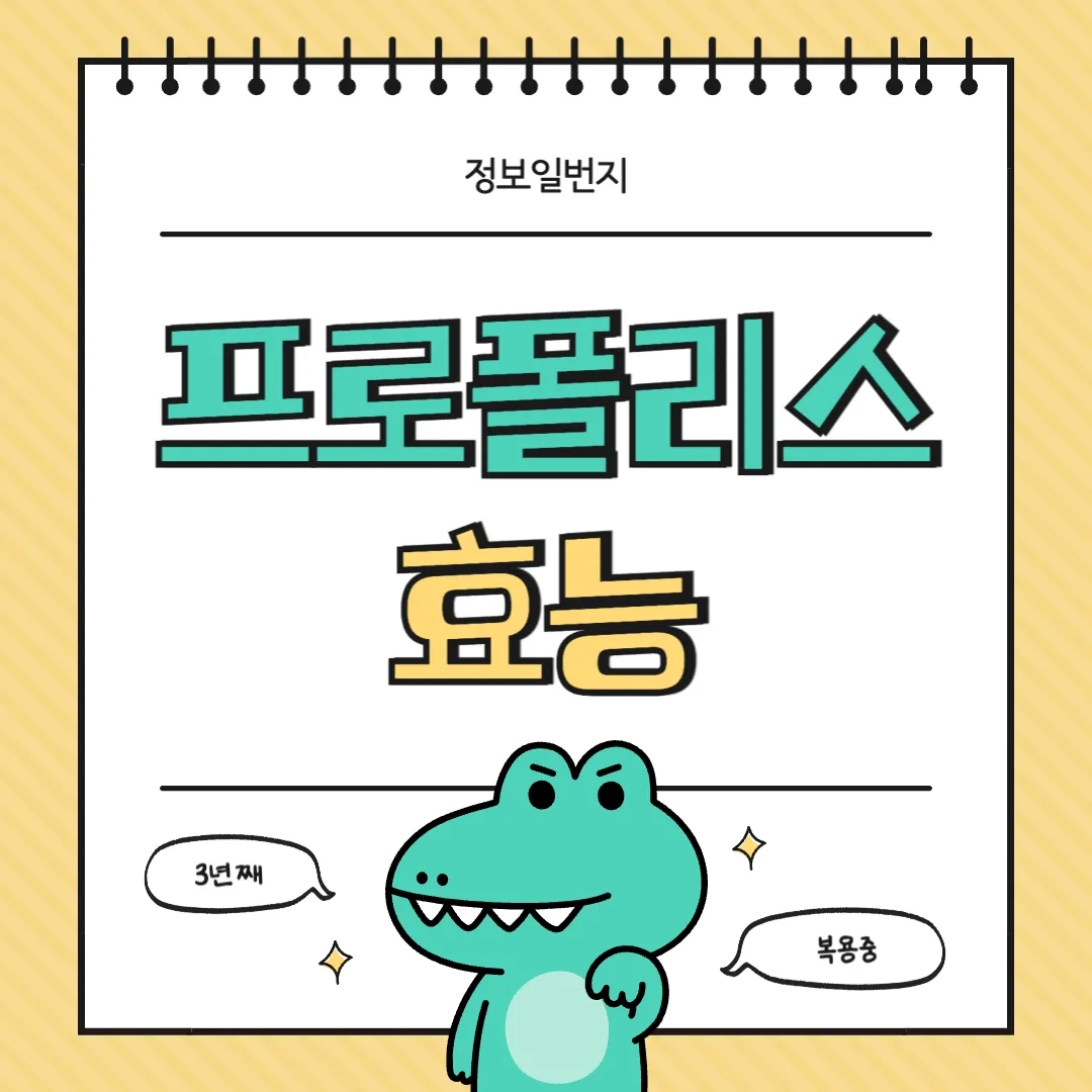 프로폴리스-효능-후기-기관지