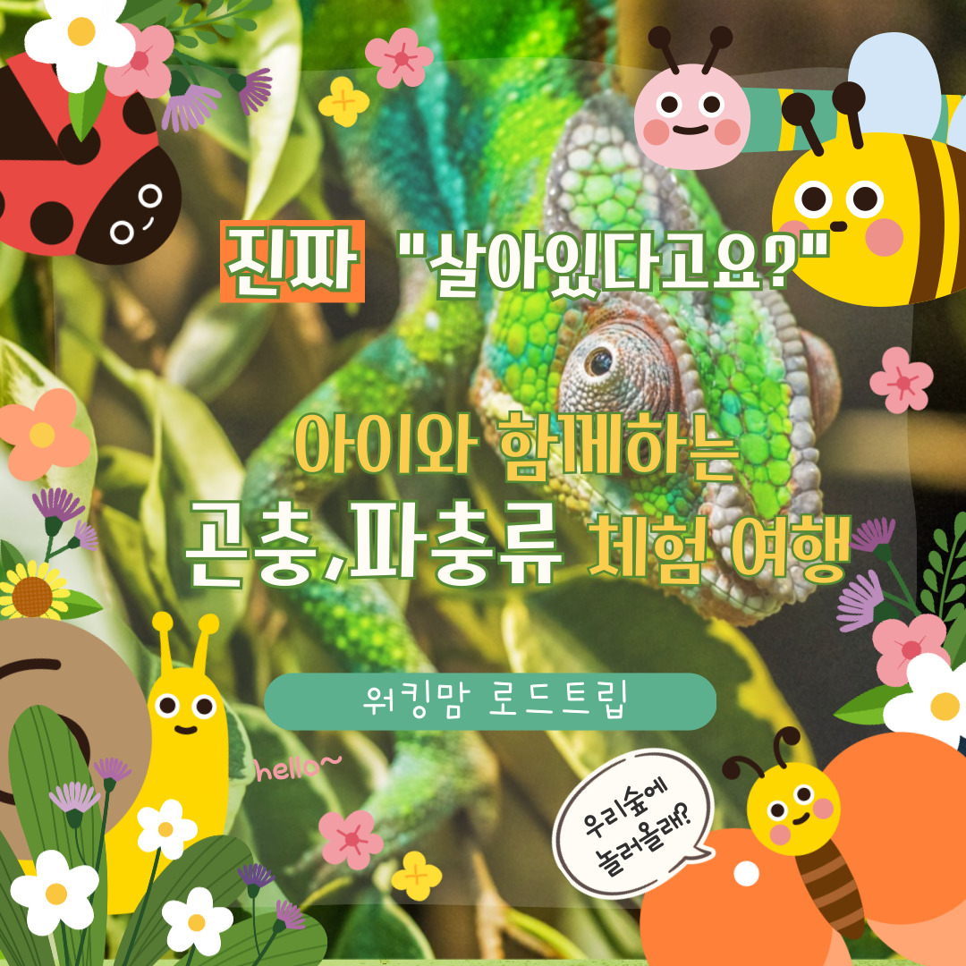 🌿 “살아있는 자연 교실”아이와 함께하는 곤충·파충류 체험 여행지 베스트 6!-제작이미지