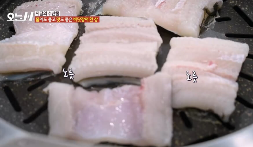 오늘N 이달의 수산물 통영 자연산 바닷장어 구입방법 근해통발수협협동조합 오늘N 2502회