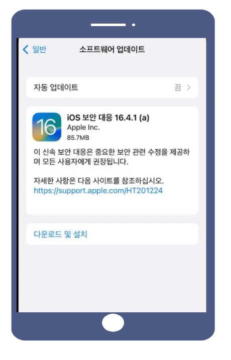 휴대폰-화면