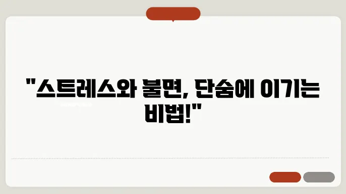 스트레스 해소와 숙면: 심신 안정의 첫걸음