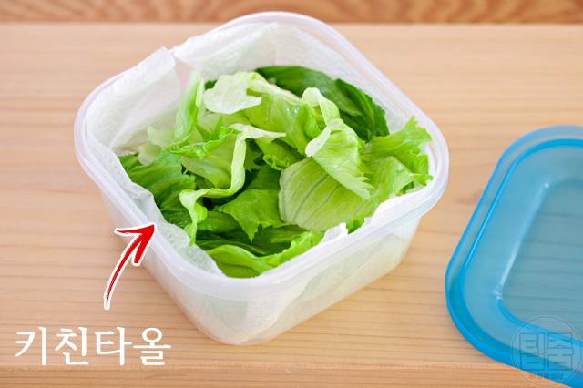 양상추 보관법,양상추 분홍색 변색,양상추샐러드