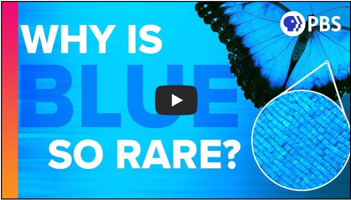 교육/지식 유튜버 TOP 10 4