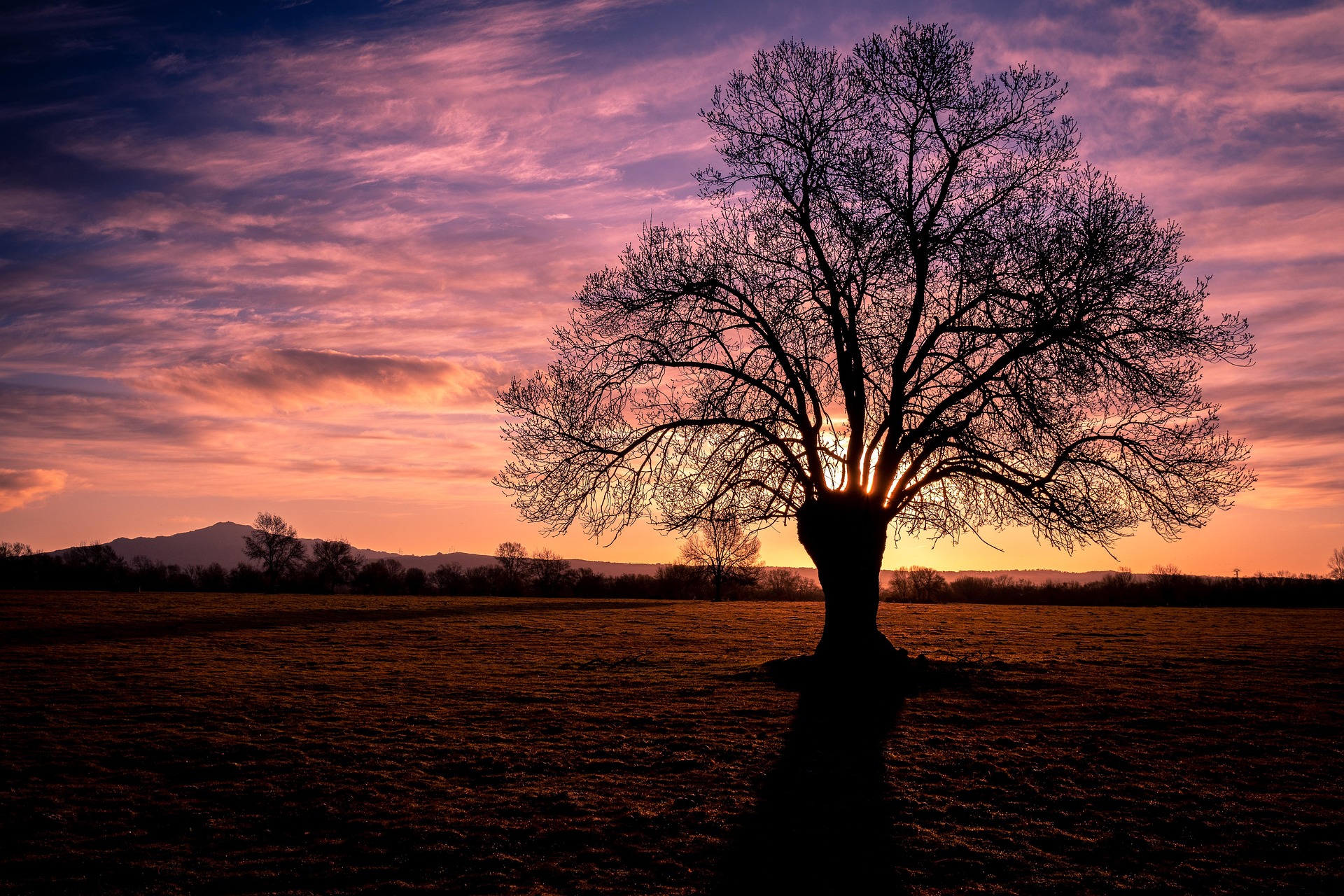 일상의 기록을 멈췄지만 다시 시작하게 된 이유: 완벽주의를 내려놓는 용기