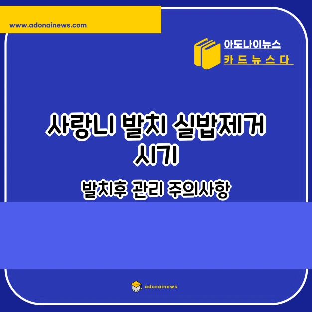 사랑니 발치 실밥제거 시기