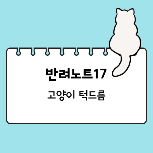 고양이 턱드름 원인과 관리 치료 방법
