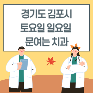 경기도 김포시 토요일 일요일 치과 진료 문여는 병원 리스트