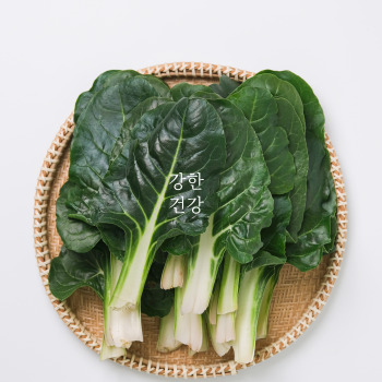 근대 보관법
