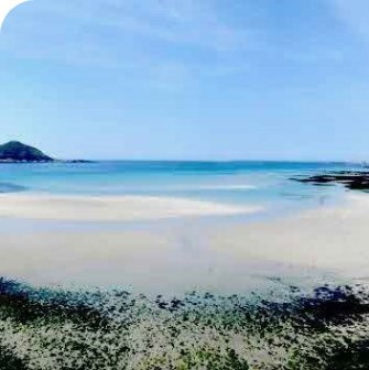 제주도 명소, 넷플릭스 '폭싹 속았수다' 촬영지 제주도 완전 정복! 숨겨진 명소부터 여행 꿀팁까지 [2025 최신 업데이트]