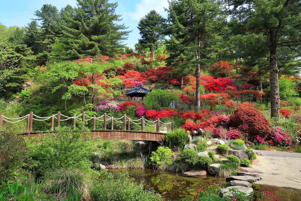 서울근교 여행 관련사진