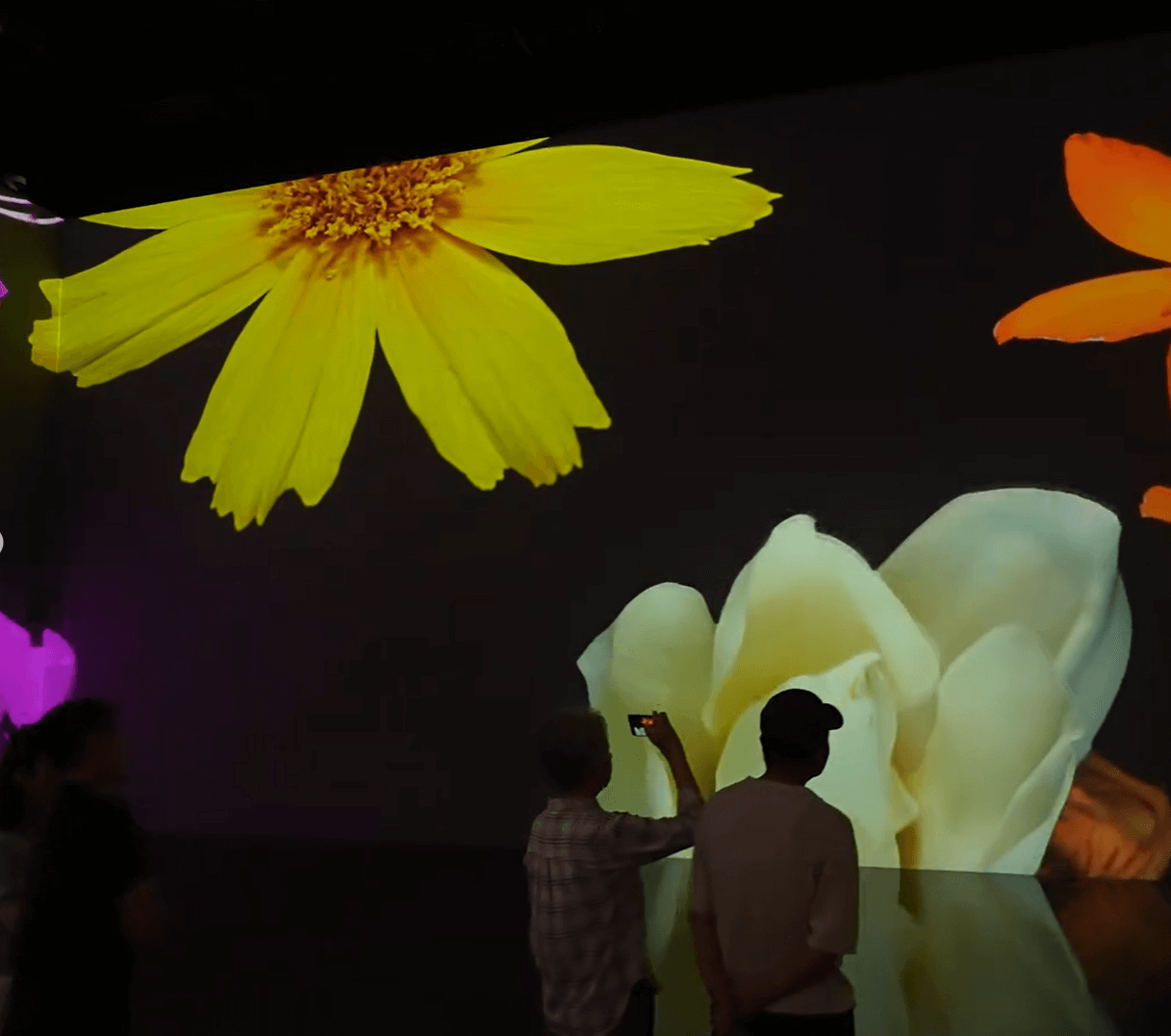 화담숲 단풍시기