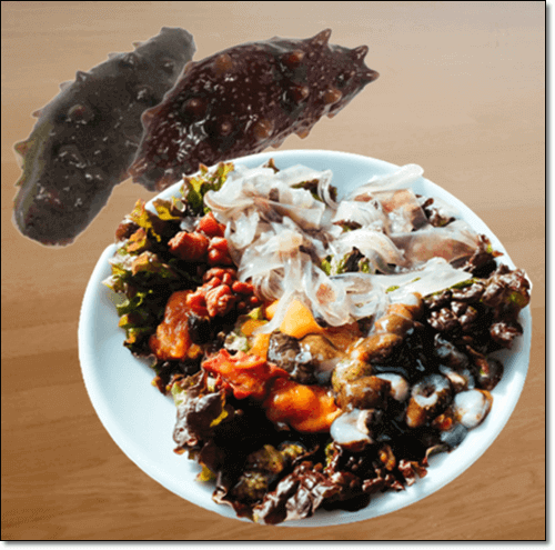 해삼 효능