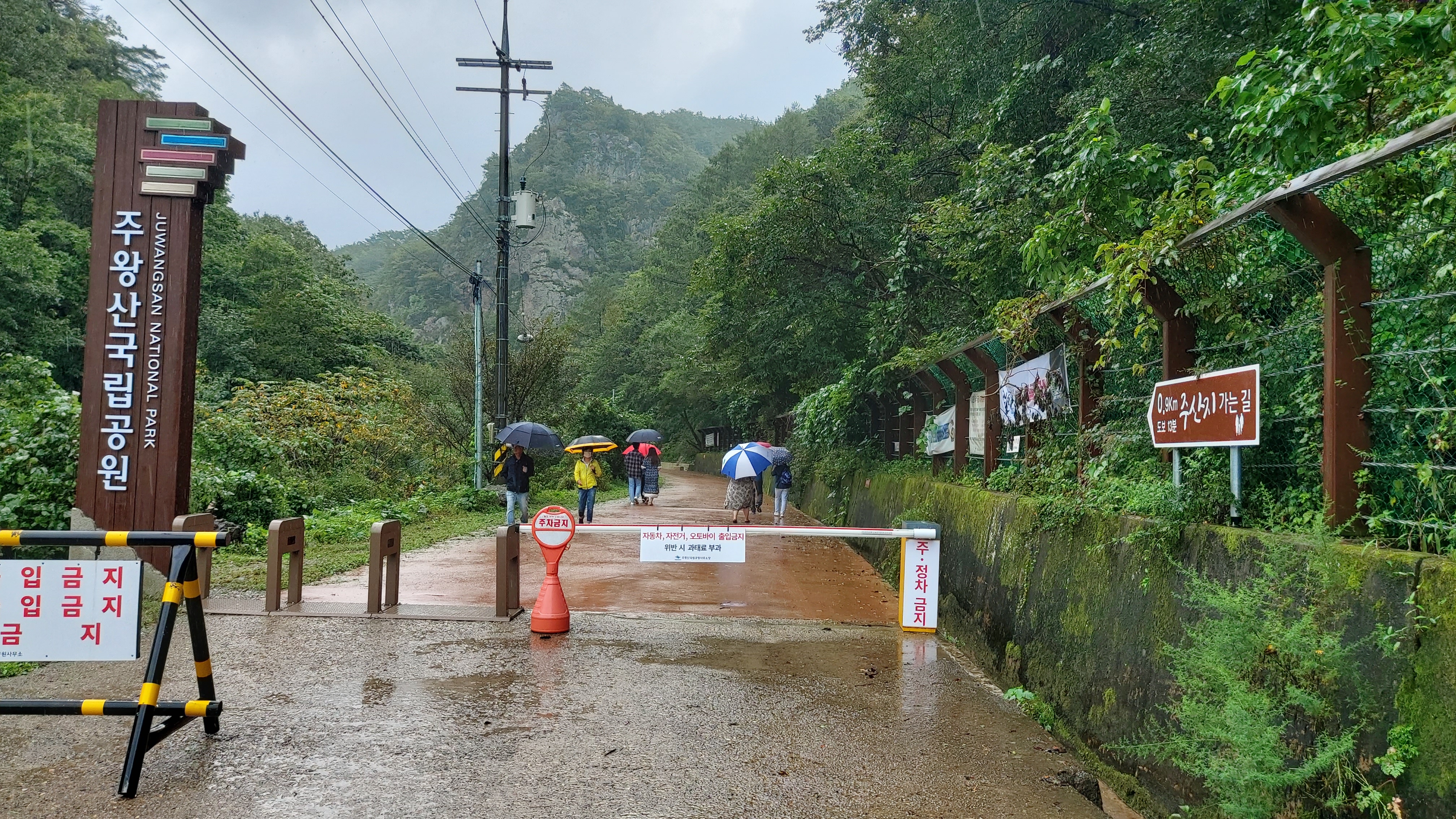 경북 청송군 주산지 오르는 길