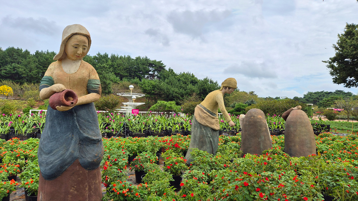 9월 13일 개화현황2