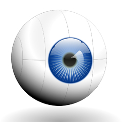 안과참조예시03