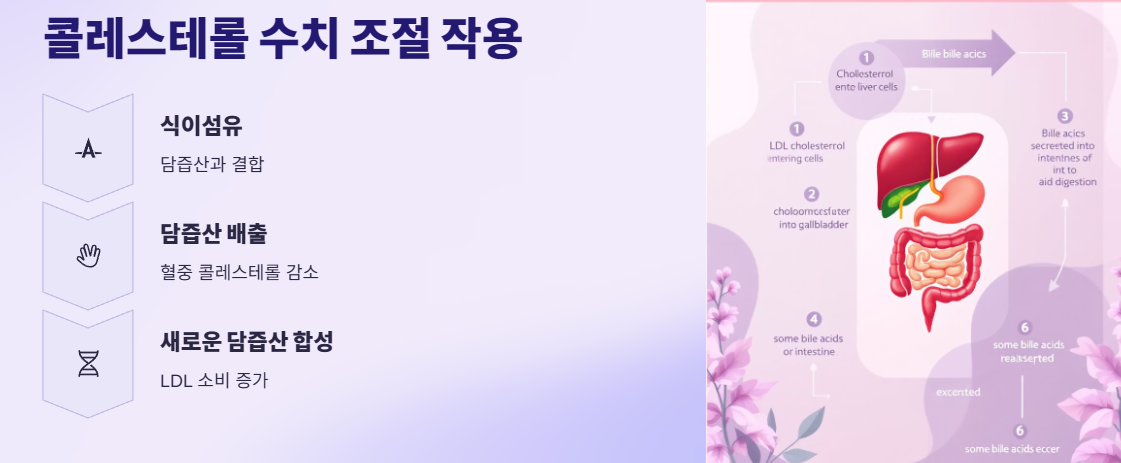 저칼로리 고섬유질 식품의 장점