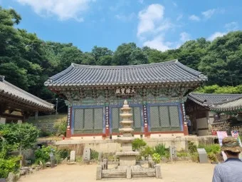 서산 개심사 청벚꽃 개화시기 명소_16