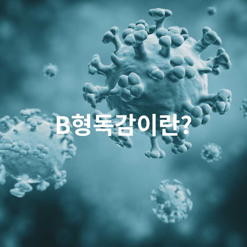 A형독감 vs B형독감 증상 차이 