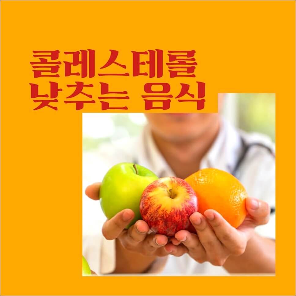 콜레스테롤 낮추는 음식