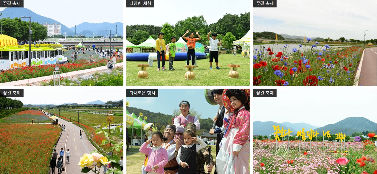 장성 황룡강 길동무 꽃길 축제 모습