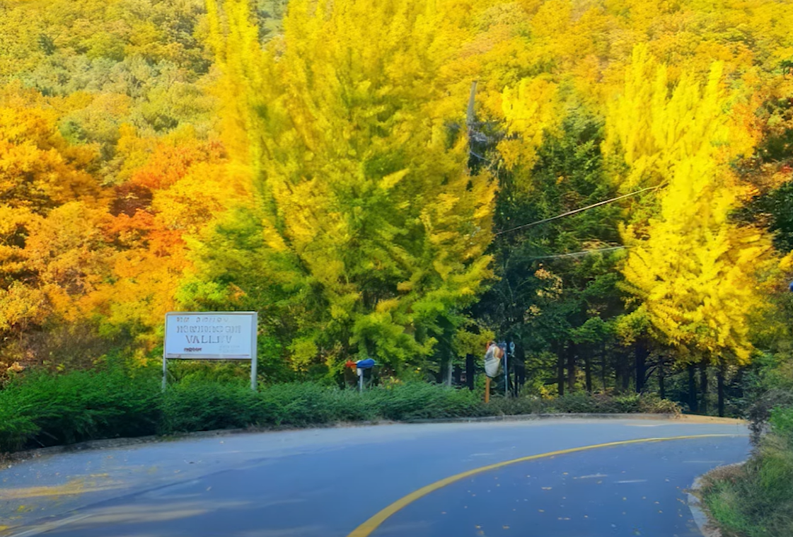 경기도 드라이브코스 추천